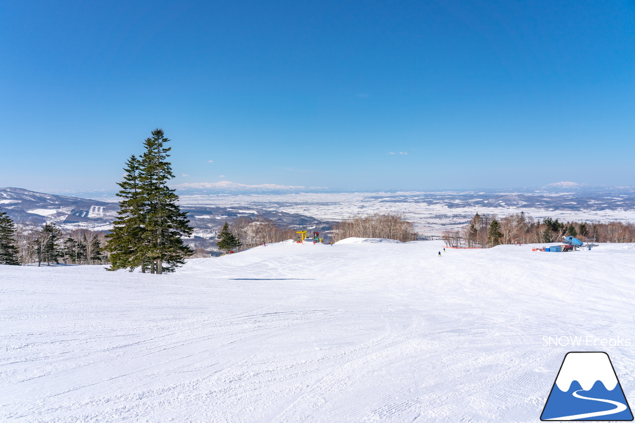 カムイスキーリンクス｜山頂から山麓までゲレンデには積雪たっぷり＆最新の自動券売機導入でチケット購入時の待ち時間も短縮。最高に気持ちの良い春スキーを楽しみましょう(^_-)-☆